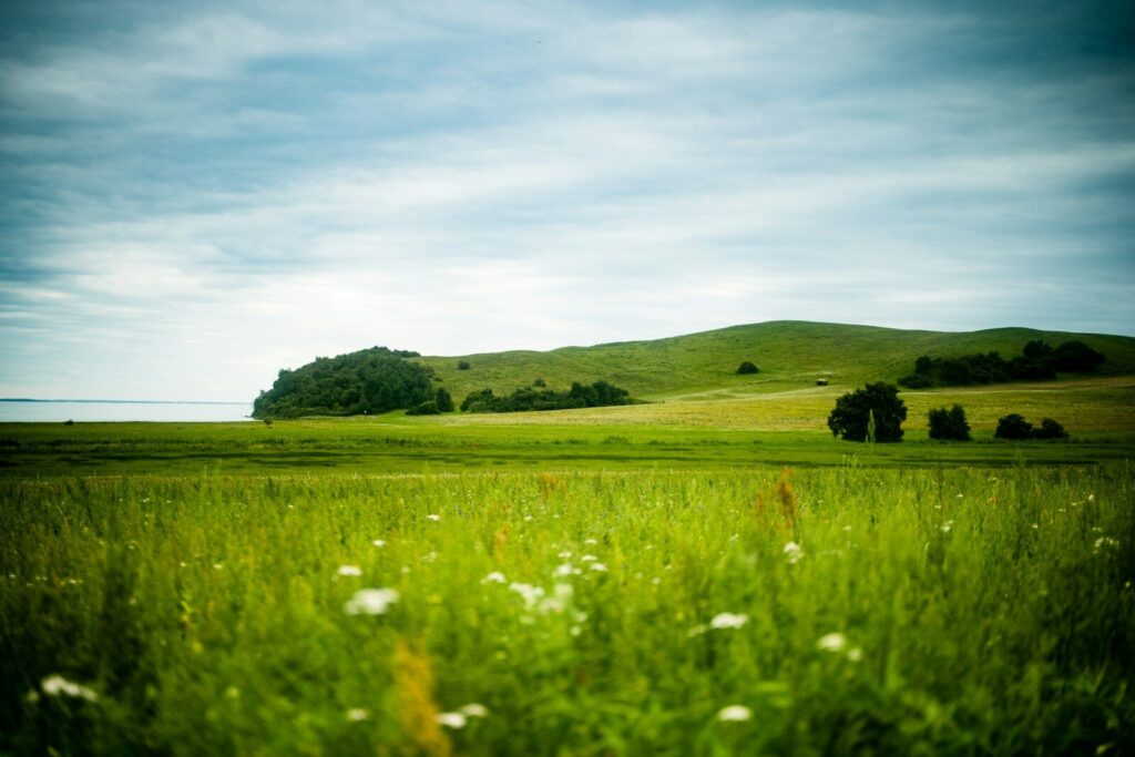 Exposure compensation in a beautiful landscape image.
