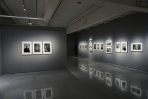 Read more about the article The Fascination of Photographic Art: Creativity and Technology United