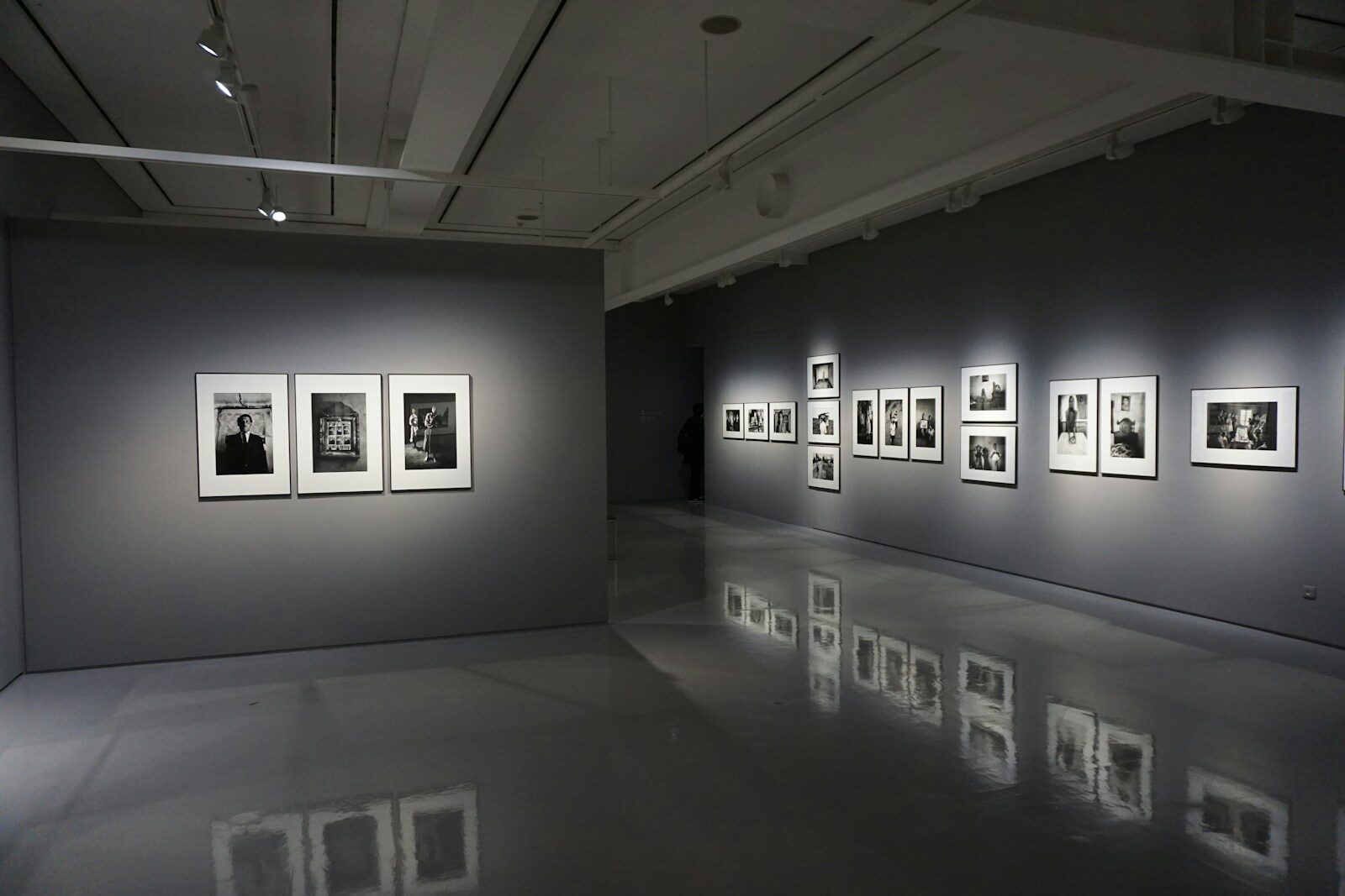 Read more about the article The Fascination of Photographic Art: Creativity and Technology United