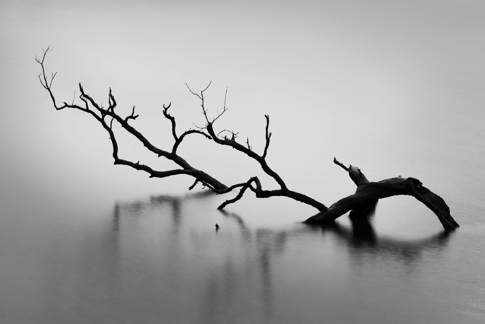 Fotografia in bianco e nero: Tecniche e ispirazione per fotografi creativi