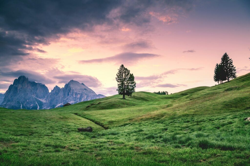 Smartphone photographiant un paysage époustouflant au coucher du soleil.
